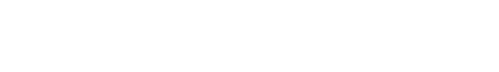 DevFollow logo white